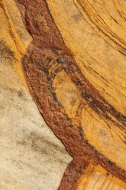Abstract;Abstraction;Boulder;Brown;Close-up;Cumberland-Mountain-State-Park;Geolo