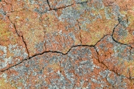 Abstract;Abstraction;Boulder;Brown;Close-up;Cool-Colors;Cool-Palette;Cool-Tones;