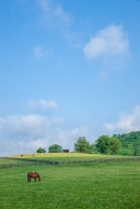 Agricultural;Agriculture;Architecture;Barn;Blue;Brown;Calm;Cloud;Cloud-Formation