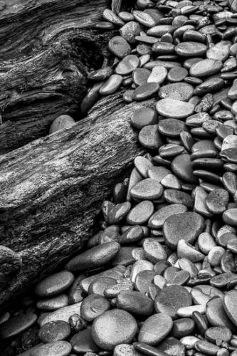 Abstract;Abstractions;Boulder;Brown;Drift wood;Driftwood;Earthy;Enduring;Geological;Geology;Grain;Natural;Olympic National Park;Patterns;Rachel;Rock;Rock formations;Rocks;Ruby Beach;Smooth;Stock categories;Stone;Stones;Tan;Textures;Tree;Uniform;Wabi Sabi;Washington;concepts & emotions;gray;log;orange;shapes;striation;tree trunk