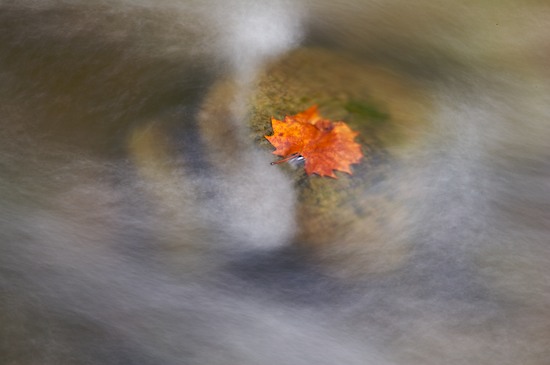 Brook;Creek;Rivulet;Stream;Streamlet;Weather