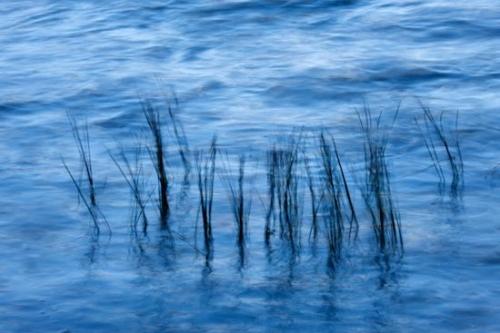 Abstract;grass;Green Mountain National Forest;Patterns;Waves;Vermont;water;Water;White Rocks National Recreation Area;Abstracts;reflections;Textures;Reeds;Blue;reflection;lake;Appalachian Trail;pond