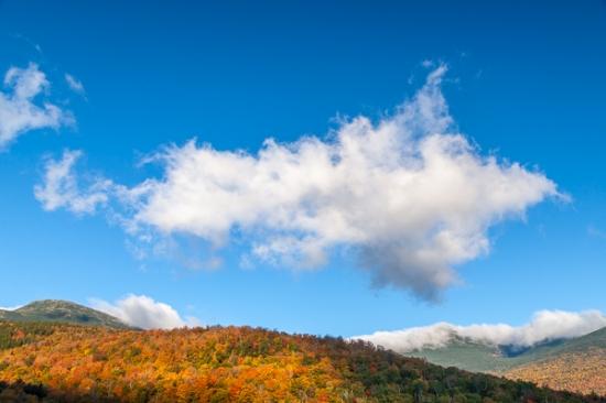 Autumn;Blue;Blues;Cloud;Cloud Formation;Clouds;Cool Colors;Cool Palette;Cool Tones;Fall;Fog;Forest;Forested;Hill;Mist;Mount Washington;Mountain;Mountain Top;Mountainous;Mountains;Nature;New England;New Hampshire;Obscured;Pastoral;Peak;Pinnacle;Precipice;Range;Seasons;Summit;Timber;Timberland;Weather;White;Wood;Woodland;Woods;Yellow;blue;color;foggy;green;haze;hillside;landscape;leaves;mist;misty;oneness;orange;peaceful;serene;sky;soothing;tranquil;trees;zen