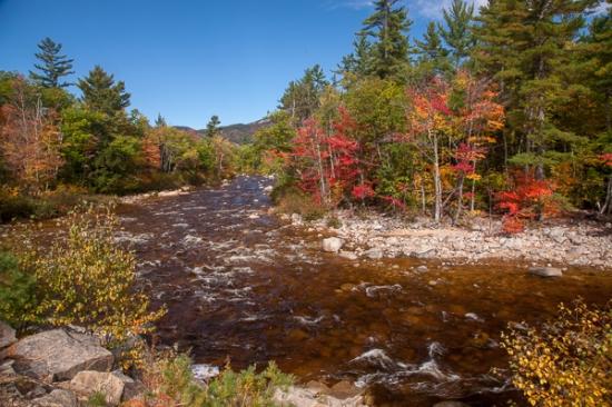Autumn;Blue;Boulder;Boulders;Branches;Brook;Calm;Cascade;Cascading;Creek;Fall;Falls;Flow;Forest;Forested;Nature;New England;New Hampshire;Pastoral;Pebbles;Pouring;River;Rock;Rock formations;Rocks;Stone;Stones;Stream;Stream Bank;Streaming;Sunshine;Timber;Timberland;Tree;Vein;Water;Waterfalls;Waterscape;Wood;Woodland;Woods;branch;flowing;foliage;green;landscape;leaves;limbs;oneness;orange;peaceful;plants;rapids;red;restful;river bank;serene;soothing;sunlit;tranquil;tree limbs;tree trunk;trees;zen