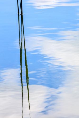 Abstract;Abstraction;Botanical;Calm;Close-up;Cloud;Cloud Formation;Clouds;Flowers & Plants;Healing;Health care;Healthcare;Leaf;Line;Mirror;Modern;Nature;Ohio;Pastoral;Reeds;Wabi Sabi;Water;Waterscape;blue;botanicals;contemporary;contemporary art;green;lake;landscape;leaves;modern art;oneness;pattern;peaceful;plant;plants;pond;pool;reflection;reflections;restful;serene;sky;soothing;tranquil;zen