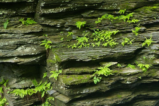 Boulder;Feern;Geological;Geology;Gray;Green;New York;Rock;Rock Formations;Rocks;Stone;Stones;Striation;Watkins Glen;Watkins Glen State Park
