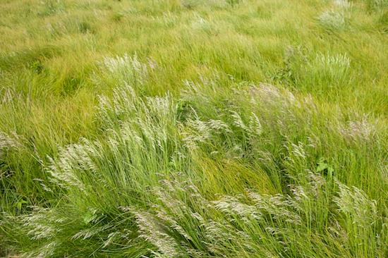 Clouds;Colorful;Grass;Green;High;Leaves;Mountain;Mountain Top;Natural;Nature;Outdoor;Peak;Plants;Power;Powerful;Precipice;Scenic View;Scenics;Stem;Summit;Vegetation;Vertical