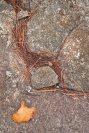 Abstract;Abstractions;Boulder;Camp-Meeting-Rock;Franklin;Geological;Geology;Geor