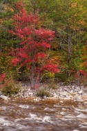 Autumn;Boulder;Boulders;Branches;Calm;Cascade;Cascading;Creek;Fall;Falls;Flow;Fo