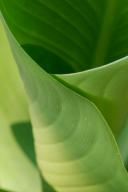 Abstract;Abstractions;Patterns;Shapes