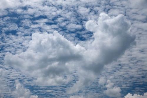 Clouds;Sky;Tennessee;Cloud;White;Weather;Cloud Formation;Blue