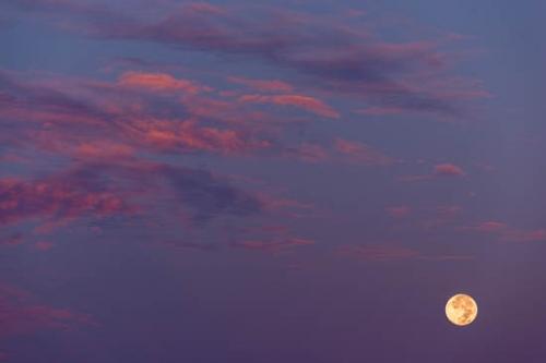 Blue;Cloud;Cloud Formation;Clouds;Evening;Magenta;Moon;Pink;Sky;Yellow;moon light;night