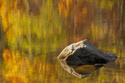Stone;Rocks;Striation;TN;waterway;Geology;River;Rivers;Rock;Reflection;River Bed;concepts & emotions;Shapes;brown;Riverbed;timeless;green;watercolor;Abstractions;Big South Fork National Recreation Area;Tennessee;Brook;Rock Formations;Textures;Stream;Geological;Water;yellow;orange;Reflections;monet;Cumberland Plateau;movement;gold;Patterns;Abstract;Stones;impressionist;Creek;Boulder