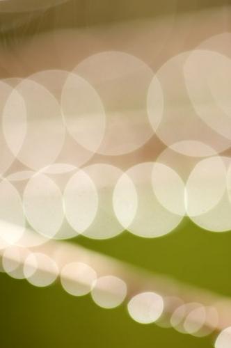Abstract;Tan;Outdoor;Close-up;drop;drops;droplet;Abstracts;water;dew;Brown;Circle of Life;dew drops;Abstraction;Green;Patterns;Round
