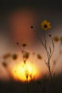 Break-of-Day;First-Light;Daybreak;Dawn;Morning;Sun-up;Sunrise;Textures;Shapes;Pa