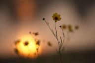 Break-of-Day;First-Light;Daybreak;Dawn;Morning;Sun-up;Sunrise;Textures;Shapes;Pa