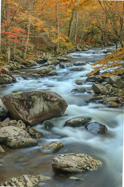Autumn;Blue;Boulder;Boulders;Brook;Brown;Calm;Cascade;Cascading;Chute;Creek;Fall;Falling;Falls;Flow;Forest;Forested;Geological;Gold;Great Smoky Mountains National Park;Healing;Health care;Healthcare;Keepers;Nature;Pastoral;Pouring;Ripple;River;Rivers;Rock;Rock formations;Rocks;Rocky;Spilling;Stone;Stones;Stream;Stream Bank;Streaming;Tan;Timber;Timberland;Tree;Water;Waterfalls;Waterscape;Wood;Woodland;Woodlands;Woods;Yellow;flowing;landscape;leaves;oneness;orange;peaceful;rapids;reflection;reflections;restful;river bank;serene;soothing;tranquil;trees;waterfall;waterway;zen