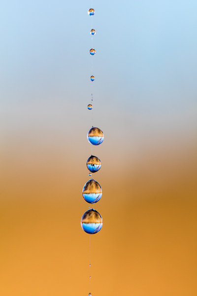 Abstract;Abstraction;Brown;Calm;Close-up;Dew;Droplets;Drops;Gold;Healing;Health care;Healthcare;Henry Horton;Henry Horton State Park;Keepers;Line;Macro;Nature;Spider Web;State Park;Tennessee;United States;Water Drops;dew drops;dewy;drop;droplet;oneness;orange;pattern;peaceful;reflection;reflections;restful;serene;soothing;tranquil;web;zen