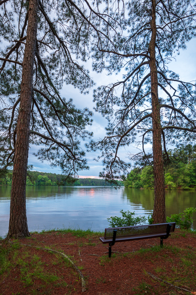 Blue;Branches;Brown;Calm;Forest;Forested;Gold;Healing;Health care;Healthcare;Keepers;Mirror;Natchez Trace State Park;Nature;Pastoral;Ripple;State Park;Sunlight;Sunset;Sunshine;Tan;Tennessee;Timber;Timberland;Tree;United States;Water;Wood;Woodland;Woods;bark;bench;bench seat;branch;dusk;evening;green;lake;landscape;leaves;limbs;nightfall;oneness;peaceful;plants;pool;reflection;reflections;restful;serene;soothing;stump;sundown;sunlit;sunset;tranquil;tree limbs;tree trunk;trees;trunk;twilight;zen