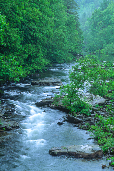 Blue;Blues;Cascade;Chute;Cool Colors;Cool Palette;Cool Tones;Cumberland Plateau;Flow;Forest;Keepers;Pouring;River;Stream;Stream Bank;Streaming;Water;blue;color;flowing;gray;green;rapids;river bank;trees