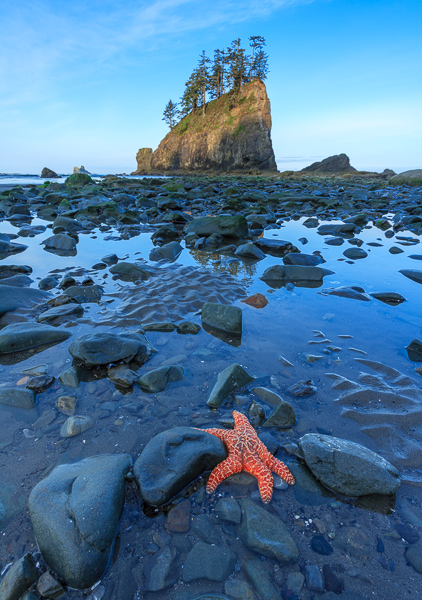 Beach;Blue;Boulder;Boulders;Brown;Calm;Cloud;Cloud Formation;Clouds;Coast;Coastline;Healing;Health care;Healthcare;Keepers;Minimalism;Nature;Ocean;Pastoral;Pebbles;Rock;Rock formations;Rocks;Rocky;Sand;Sandy;Sea;Sea Stacks;Seascape;Starfish;Stone;Stones;Sunlight;Sunshine;Tan;Tree;Water;Waterscape;Waves;beach;beaches;coast;coastline;green;landscape;oneness;orange;peaceful;red;reflection;reflections;restful;sea;serene;shore;shoreline;sky;soothing;sunlit;tranquil;trees;wet;zen