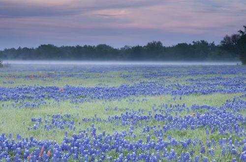 Brenham;Texas