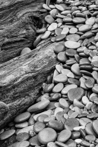 Abstract;Abstractions;Boulder;Brown;Concepts & Emotions;Drift wood;Driftwood;Earthy;Enduring;Geological;Geology;Grain;Gray;Natural;Olympic National Park;Orange;Patterns;Rachel;Rock;Rock Formations;Rocks;Ruby Beach;Shapes;Smooth;Stock categories;Stone;Stones;Striation;Tan;Textures;Tree;Tree Trunk;Uniform;Wabi Sabi;Washington;log