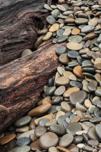 Abstract;Abstractions;Boulder;Brown;Concepts & Emotions;Drift wood;Driftwood;Earthy;Enduring;Geological;Geology;Grain;Gray;Natural;Olympic National Park;Orange;Patterns;Rachel;Rock;Rock Formations;Rocks;Ruby Beach;Shapes;Smooth;Stock categories;Stone;Stones;Striation;Tan;Textures;Tree;Tree Trunk;Uniform;Wabi Sabi;Washington;log