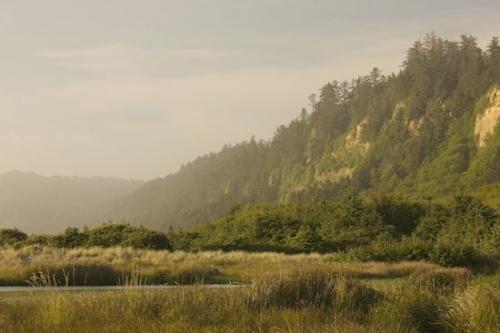 Brown;Gold Bluff Beach;Summit;Mountain;Weather;Cloud;Gold Bluffs Beach;Range;Clouds;California;Mountains;Pinnacle;Grass;Beige;Precipice;Peak;Mountain Top;Green;Gold;Tan;Mountainous;Prairie Creek Redwood State Park;Blue;Sky;Yellow;Cloud Formation