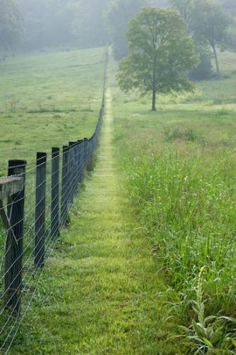 misty;Field;Pasture;Foggy;Green;Lily Pads;Fence;Obscured;Fog;Tennessee;Mist;Haze