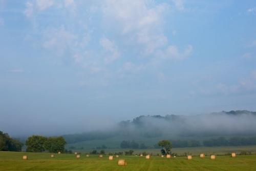 Haze;Yellow;Mist;Brown;Bales;Obscured;Green;Hill;Rolled Hay;Rolled;Tennessee;Hay;Misty;Cloud;Fog;Blue;Farm;Hills;Fields;Hillside;Agriculture;Foggy;Bale