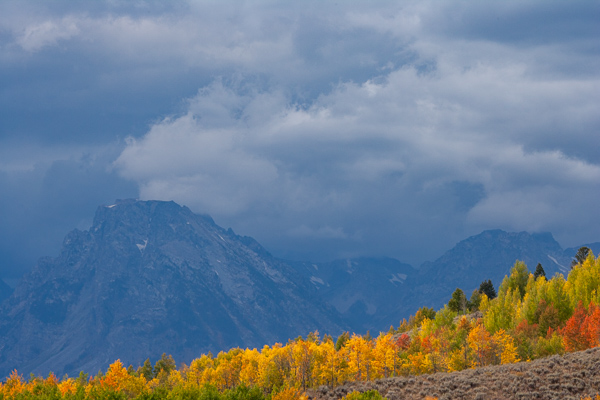 Autumn;Blue;Blues;Branches;Calm;Cloud;Cloud Formation;Clouds;Cool Colors;Cool Palette;Cool Tones;Fall;Forest;Forested;Gold;Grand Teton National Park;Grand Tetons;Grand Tetons National Park;Green;Greens;Habitat;Healing;Health care;Healthcare;Herbaceous;Hill;Jackson Hole;Leaf;Leafy;Leaves;Maine;Mountain;Mountain Side;Mountain Top;Mountainous;Mountains;Nature;Peak;Pinnacle;Plant;Precipice;Range;Seasons;Summit;Timber;Timberland;Tree;United States;Warm Colors;Warm Palette;Warm Tones;Weather;Wood;Woodland;Woods;Wyoming;Yellow;blue;branch;color;foliage;green;landscape;leaves;orange;peaceful;plant;plants;red;restful;serene;silhouette;sky;soothing;tranquil;tree;tree limbs;trees