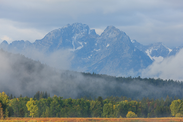 Autumn;Bluff;Calm;Cloud;Cloud Formation;Clouds;Cloudy;Fall;Fog;Forest;Forested;Grand Teton National Park;Grand Tetons;Grand Tetons National Park;Healing;Health care;Healthcare;Hill;Jackson Hole;Looking up;Mist;Mountain;Mountain Side;Mountain Top;Mountainous;Nature;Obscured;Pastoral;Snake River;Snow;Summit;Timber;Timberland;Tree;United States;Weather;Wood;Woodland;Woods;Wyoming;cliff;foggy;haze;hillside;landscape;leaves;mist;misty;oneness;peaceful;plants;restful;serene;sky;soothing;tranquil;tree limbs;trees;trunk;zen