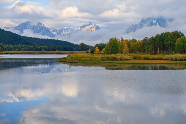 Autumn;Blue;Bluff;Calm;Cloud;Cloud Formation;Clouds;Cloudy;Creek;Fall;Flow;Fog;Forest;Forested;Gold;Grand Teton National Park;Grand Tetons;Grand Tetons National Park;Healing;Health care;Healthcare;Hill;Jackson Hole;Looking up;Mirror;Mist;Mountain;Mountain Side;Mountain Top;Mountainous;Mountains;Mountainside;Nature;Obscured;Pastoral;Pinnacle;Ripple;River;Snake River;Stream;Stream Bank;Summit;Sunlight;Sunshine;Timber;Timberland;Tree;United States;Water;Waterscape;Weather;Wood;Woodland;Woods;Wyoming;Yellow;flowing;foggy;green;haze;hillside;landscape;leaves;mist;misty;oneness;orange;peaceful;plants;reflection;reflections;restful;river bank;serene;sky;soothing;sunlit;tranquil;tree limbs;trees;trunk;zen