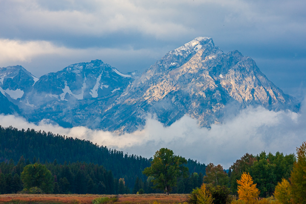 Autumn;Bluff;Calm;Cloud;Cloud Formation;Clouds;Cloudy;Fall;Fog;Forest;Forested;Grand Teton National Park;Grand Tetons;Grand Tetons National Park;Healing;Health care;Healthcare;Hill;Jackson Hole;Looking up;Mist;Mountain;Mountain Side;Mountain Top;Mountainous;Mountains;Mountainside;Nature;Obscured;Pastoral;Pinnacle;Snake River;Snow;Summit;Timber;Timberland;Tree;United States;Weather;Wood;Woodland;Woods;Wyoming;cliff;foggy;haze;hillside;landscape;leaves;mist;misty;oneness;peaceful;plants;restful;serene;sky;soothing;tranquil;tree limbs;trees;trunk;zen