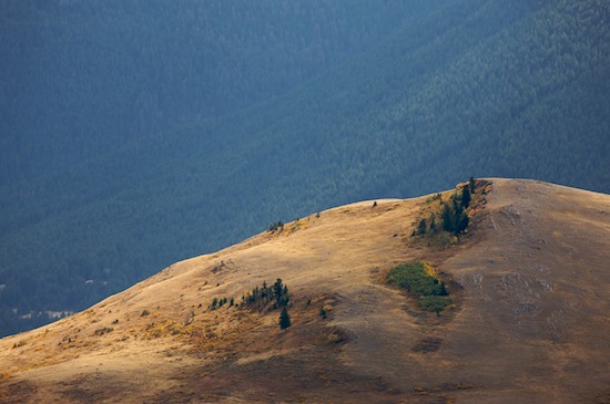 Aqua;Brown;Gold;Grand Tetons;Green;Hill;Hillside;Hilltop;Mountain;Mountain Top;Mountainous;Mountains;Peak;Pinnacle;Precipice;Range;Summit;Tan;Trees;Wyoming;Yellow
