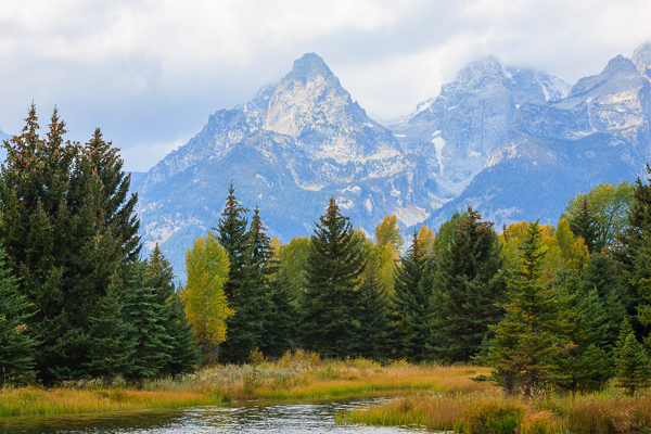 Autumn;Blue;Bluff;Calm;Cloud;Cloud Formation;Clouds;Cloudy;Creek;Fall;Flow;Fog;Forest;Forested;Gold;Grand Teton National Park;Grand Tetons;Grand Tetons National Park;Healing;Health care;Healthcare;Hill;Jackson Hole;Looking up;Mirror;Mist;Mountain;Mountain Side;Mountain Top;Mountainous;Nature;Obscured;Pastoral;Ripple;River;Snake River;Stream;Stream Bank;Summit;Sunlight;Sunshine;Timber;Timberland;Tree;United States;Water;Waterscape;Weather;Wood;Woodland;Woods;Wyoming;Yellow;flowing;foggy;green;haze;hillside;landscape;leaves;mist;misty;oneness;orange;peaceful;plants;reflection;reflections;restful;river bank;serene;sky;soothing;sunlit;tranquil;tree limbs;trees;trunk;zen