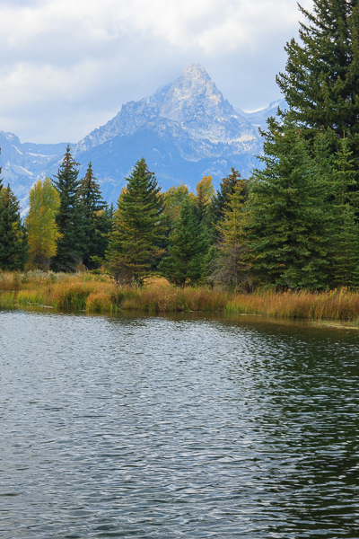 Autumn;Blue;Bluff;Calm;Cloud;Cloud Formation;Clouds;Cloudy;Creek;Fall;Flow;Fog;Forest;Forested;Gold;Grand Teton National Park;Grand Tetons;Grand Tetons National Park;Healing;Health care;Healthcare;Hill;Jackson Hole;Looking up;Mirror;Mist;Mountain;Mountain Side;Mountain Top;Mountainous;Nature;Obscured;Pastoral;Ripple;River;Snake River;Snow;Stream;Stream Bank;Summit;Sunlight;Sunshine;Timber;Timberland;Tree;United States;Water;Waterscape;Weather;Wood;Woodland;Woods;Wyoming;Yellow;cliff;flowing;foggy;green;haze;hillside;landscape;leaves;mist;misty;oneness;orange;peaceful;plants;reflection;reflections;restful;river bank;serene;sky;soothing;sunlit;tranquil;tree limbs;trees;trunk;zen