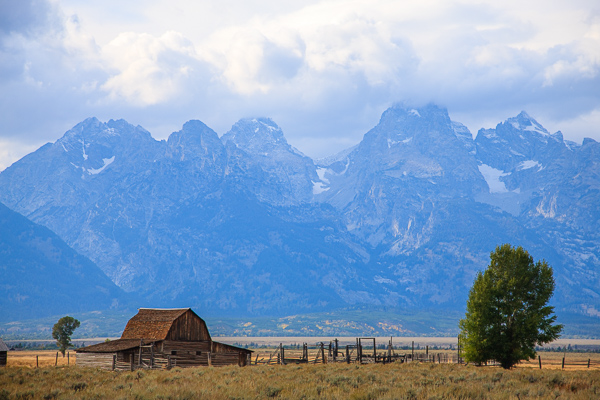 Agricultural;Agriculture;Architecture;Barn;Blue;Bluff;Branches;Brown;Calm;Cloud;Cloud Formation;Clouds;Cloudy;Farm;Farming;Gold;Grand Teton National Park;Grand Tetons;Grand Tetons National Park;Healing;Health care;Healthcare;Jackson Hole;Mountain;Mountain Side;Mountain Top;Mountainous;Mountains;Nature;Pastoral;Peak;Pinnacle;Precipice;Range;Summit;Sunlight;Sunshine;Tan;Tree;United States;Weather;Wyoming;fence;field;green;landscape;oneness;orange;pasture;peaceful;plants;restful;serene;sky;soothing;sunlit;tranquil;tree limbs;trees;zen