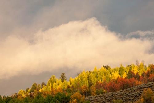 Autumn;Blue;Bluff;Brown;Cloud;Cloud Formation;Clouds;Cloudy;Fall;Forest;Forested;Gold;Grand Tetons;Grand Tetons National Park;Green;Hill;Hillside;Jackson Hole;Mountain;Mountain Side;Mountain Top;Orange;Red;Sky;Summit;Sunlight;Sunlit;Sunshine;Tan;Timberland;United States;Weather;Wood;Woodland;Woods;Wyoming;Yellow