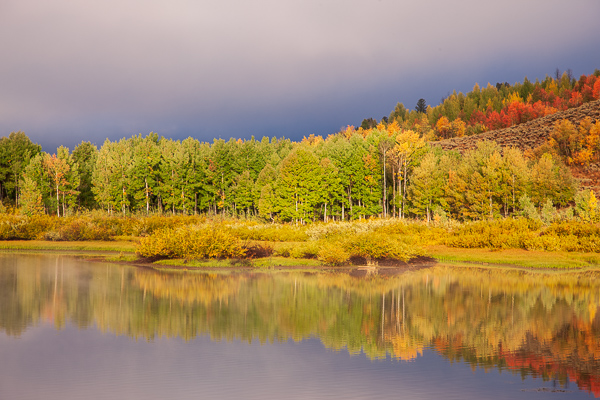 Autumn;Brown;Calm;Cloud;Cloud Formation;Clouds;Cloudy;Fall;Forest;Forested;Gold;Grand Teton National Park;Grand Tetons;Grand Tetons National Park;Healing;Health care;Healthcare;Hill;Jackson Hole;Looking up;Mirror;Mountain;Nature;Pastoral;Snake River;Sunlight;Sunshine;Tan;Timber;Timberland;Tree;United States;Water;Wood;Woodland;Woods;Wyoming;Yellow;green;hillside;lake;landscape;leaves;oneness;orange;peaceful;plants;pool;reflection;reflections;restful;serene;sky;soothing;sunlit;tranquil;tree limbs;trees;trunk;zen