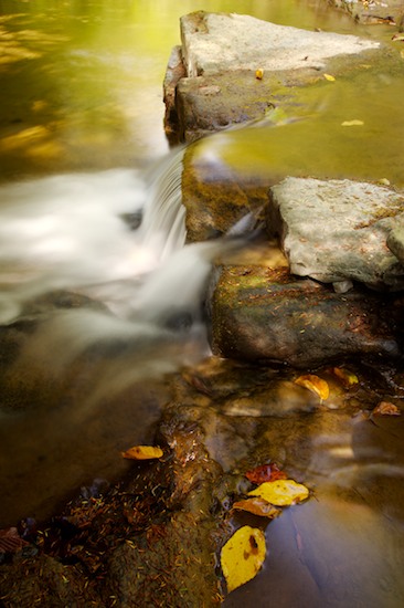 Ataya Tract;Boulder;Brook;Chute;Cool;Creek;Cumberland Mountain;Falling;Falls;Flow;Geological;Geology;Reflection;Reflections;Rivulet;Rock;Rock Formations;Rocks;Spilling;Stone;Stones;Straight Creek;Stream;Streamlet;Striation;Tennessee;Water;Waterfall;Waterfalls;Weather;Wet