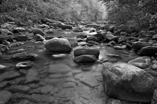 Ataya Tract;Black and White;Boulder;Brook;Chute;Cool;Creek;Cumberland Mountain;Falling;Falls;Flow;Geological;Geology;Reflection;Reflections;Rivulet;Rock;Rock Formations;Rocks;Spilling;Stone;Stones;Stream;Streamlet;Striation;Tackett Creek;Tennessee;Water;Waterfall;Waterfalls;Weather;Wet