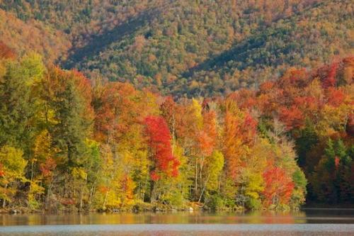 lake;Green;Woods;Gray;Yellow;Tan;Red;trees;reflections;Timberland;Wood;Gold;Woodlands;Orange;Vermont;Autumn;Horizontal;Timber;Forest;Woodland;tree trunk;Fall;water