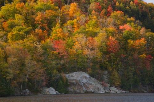 Stones;Rock;pond;Outdoor;Landscape;lake;Green Mountain National Forest;Forest;Fall;Horizontal;Boulders;Boulder;Woodland;Autumn;Stone;Appalachian Trail;Rocks;Rock Formations;Woodlands;Woods;Vermont;Tree;White Rocks National Recreation Area;Season;Rocky;Trees