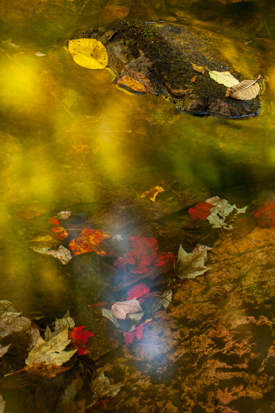 Abstract;Autumn;Botanical;Brown;Calm;Fall;Fallen;Fallen Leaves;Gold;Green Mountain National Forest;Healing;Healthcare;Leaf;Mirror;Nature;Pastoral;Rock;Rocks;Stone;Stones;Stream;Sunlight;Sunshine;Tan;United States;Vermont;Wabi Sabi;Water;Waterscape;White Rocks National Recreation Area;Yellow;foliage;leaves;oneness;orange;peaceful;pool;red;reflection;reflections;restful;serene;soothing;sunlit;tranquil;zen