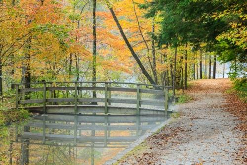 Autumn;Branches;Bridge;Brown;Calm;Emerald Lake;Fall;Fallen Leaves;Forest;Forested;Gold;Healing;Health care;Healthcare;Hiking Trail;Journey;Leaf;Nature;New England;Pastoral;Path;Pathway;Ripple;River;Stream;Tan;Timber;Timberland;Tree;United States;Vermont;Walkway;Warm Colors;Warm Palette;Warm Tones;Water;Waterscape;Wood;Woodland;Woods;Yellow;bark;color;foliage;green;lake;landscape;leaves;oneness;orange;peaceful;plant;pool;red;reflection;reflections;restful;road;serene;soothing;trail;tranquil;tree limbs;trees;trunk;zen