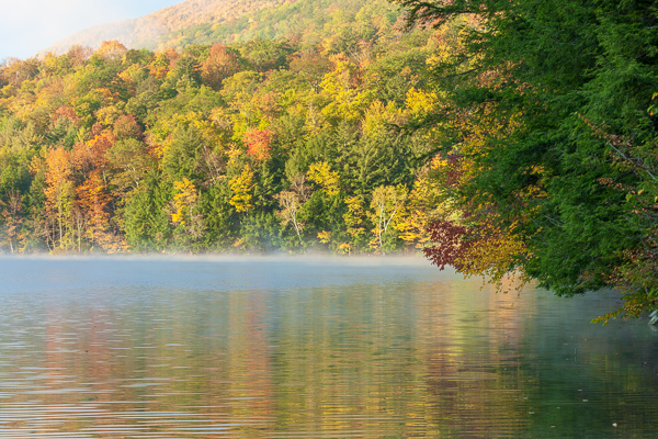Autumn;Branches;Brown;Calm;Emerald Lake;Fall;Fallen Leaves;Fog;Forest;Forested;Gold;Healing;Health care;Healthcare;Leaf;Mirror;Mist;Mountain;Mountain Side;Mountains;Nature;New England;Pastoral;Sunlight;Sunshine;Tan;Timber;Timberland;Tree;United States;Vermont;Water;Waterscape;Wood;Woodland;Woods;Yellow;foggy;foliage;green;haze;hillside;lake;landscape;leaves;mist;misty;oneness;orange;peaceful;plants;pool;reflection;reflections;restful;serene;soothing;sunlit;tranquil;tree limbs;trees;zen