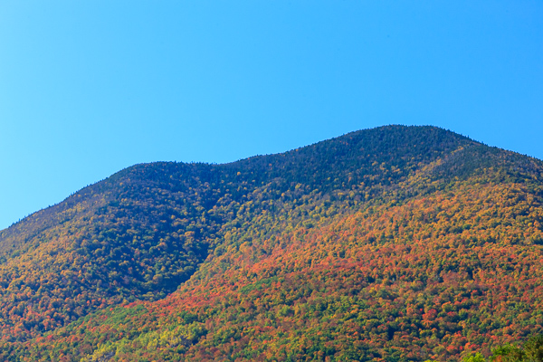 Autumn;Blue;Brown;Calm;Fall;Floral;Forest;Forested;Healing;Health care;Healthcare;Hill;Horizontal;Mountain;Mountain Top;Mountainous;Mountains;Nature;New England;Pastoral;Peak;Pinnacle;Precipice;Range;Seasons;Summit;Timber;Timberland;United States;Vermont;Weather;White;Wood;Woodland;Woodlands;Woods;Yellow;green;hillside;landscape;leaves;oneness;orange;peaceful;red;restful;serene;sky;soothing;tranquil;trees;zen
