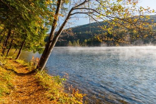 Autumn;Branches;Emerald Lake;Fall;Fog;Herbaceous;Mist;Obscured;Rock;Rocks;Seasons;Tree;United States;Vermont;Waves;bark;branch;foggy;haze;lake;mist;misty;morn;morning;plant;trail;tree trunk;trees;trunk